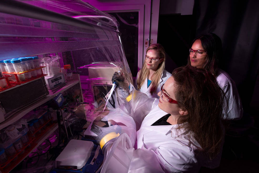 Researchers use a sealed chamber to conduct experiments