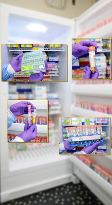 Various samples in test tubes with purple gloves showing off the test tubes and in