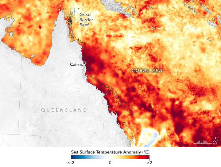 A satellite image of the coast of Australia shows the landmass in light gray, and the water in various shades of dark crimson through pale yellow. The red is clustered close to the coast, and extends out to the bottom right of the frame.