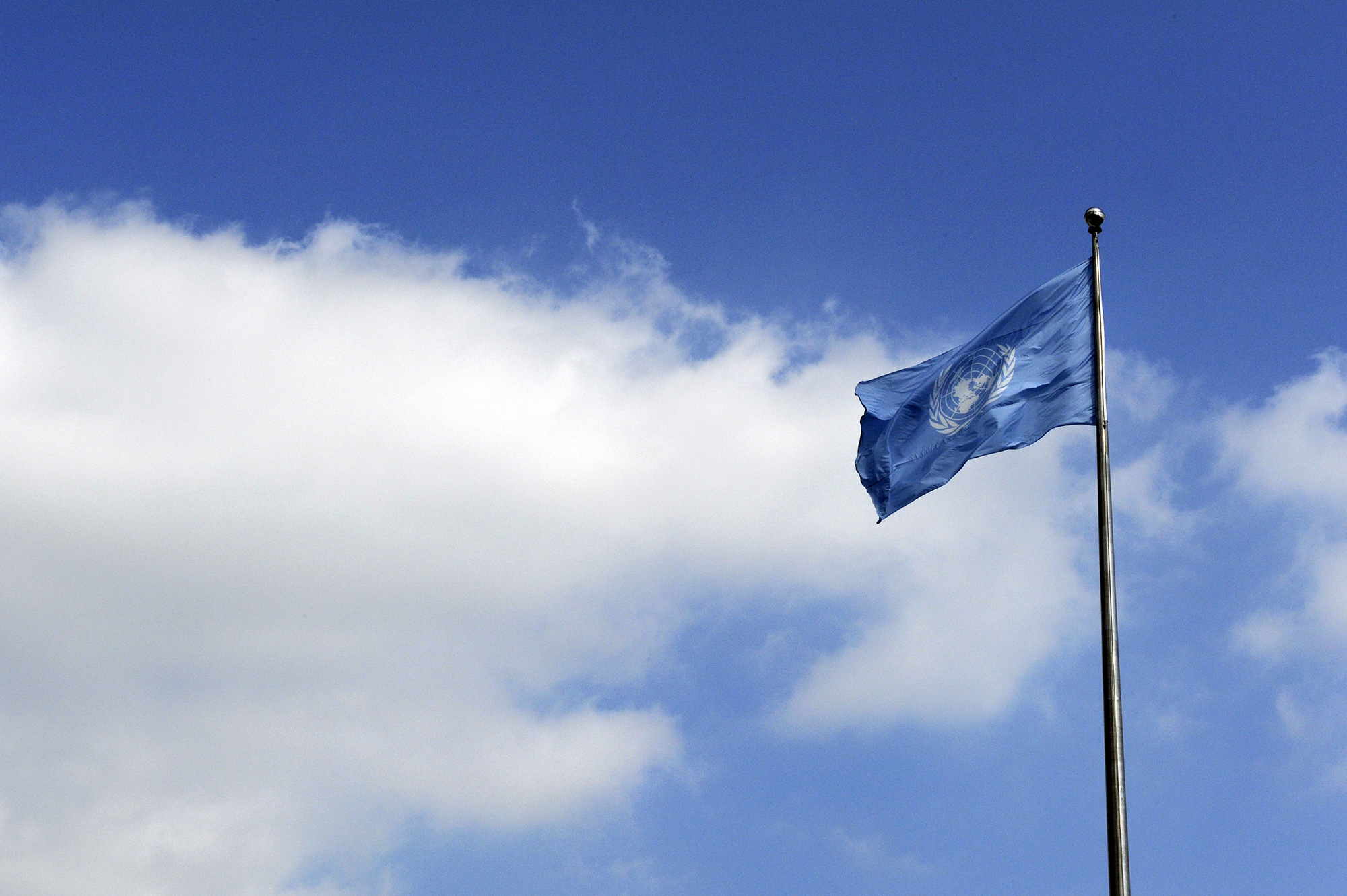 The UN flag