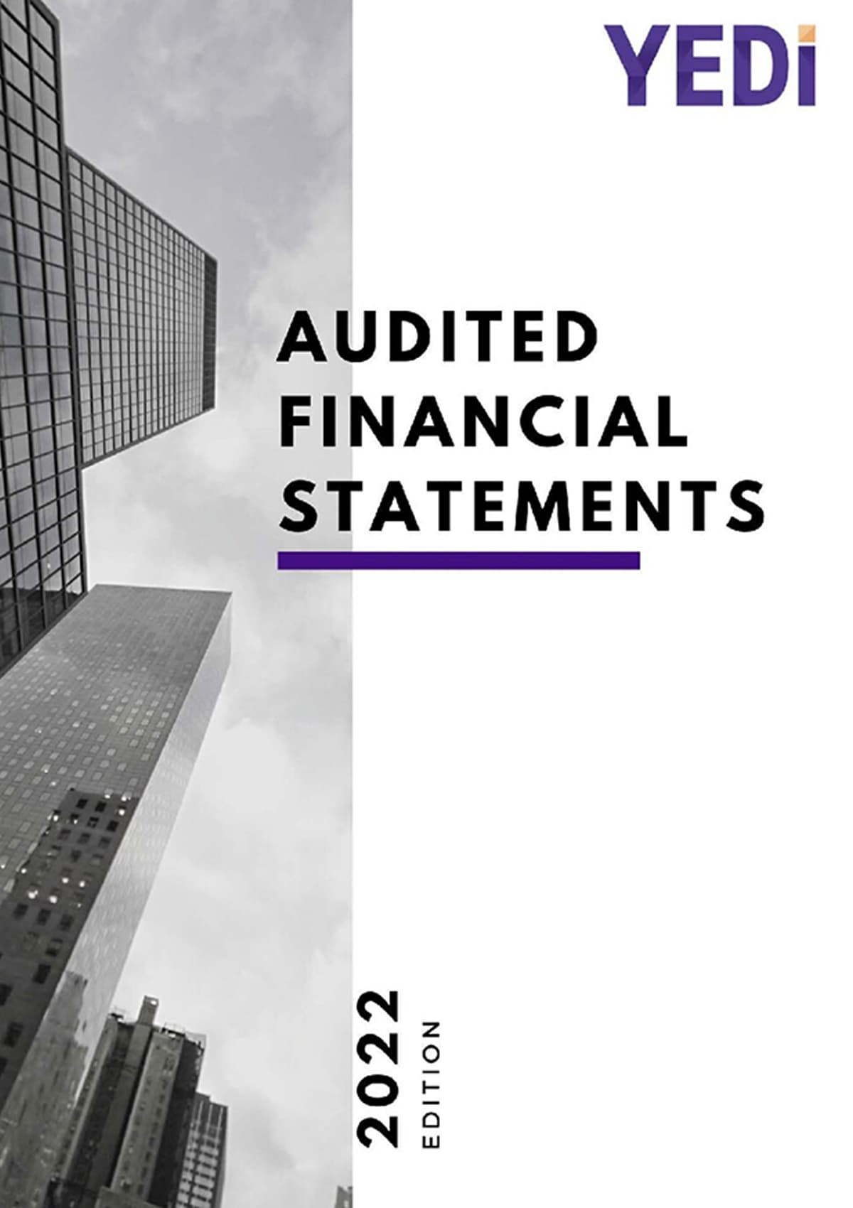 YEDI 2022 Audited Financial Statements